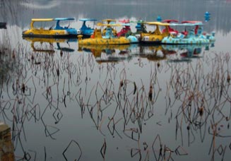 Parksee Boote